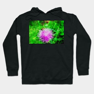 Pink Flowering Thistle With Bee Hoodie